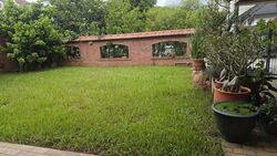 Camelia Park (D28), Terrace #517644411